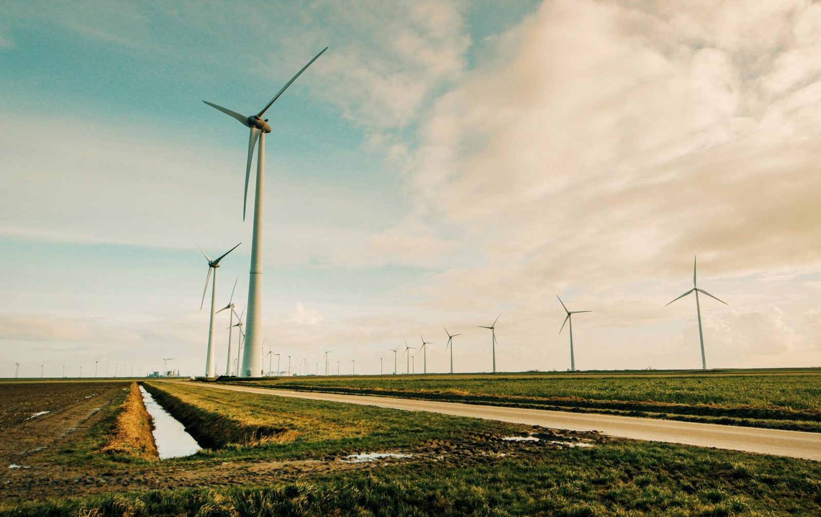 Wind turbines in a field.