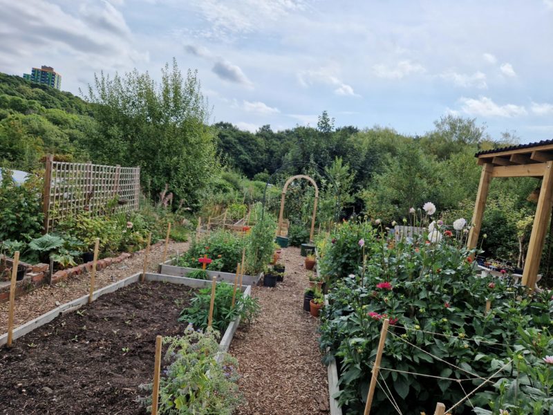 New community garden needs your help