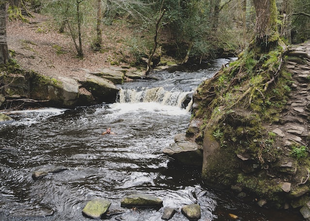 Sewage spills by Yorkshire Water